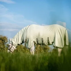 Rambo Hoody XL Groen/Sage/Beige -Goedkope Paard Liefde Winkel hw afapg0 gfmg 1.0d2287