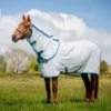 Amigo Aussie Allrounder DF Navy Check/Electric Blue -Goedkope Paard Liefde Winkel hw afrp9t b5ae 2.588a75