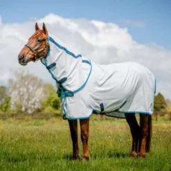 Amigo Aussie Allrounder DF Navy Check/Electric Blue