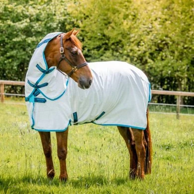 Amigo Aussie Allrounder DF Navy Check/Electric Blue 4 Amigo Aussie Allrounder DF Navy Check/Electric Blue - Afbeelding 2