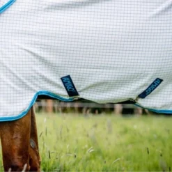 Amigo Aussie Allrounder DF Navy Check/Electric Blue 19 Amigo Aussie Allrounder DF Navy Check/Electric Blue -Goedkope Paard Liefde Winkel hw afrp9t b5ae 9.e471a4