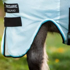 Amigo Bug Rug Petite Azure Blue/Zwart -Goedkope Paard Liefde Winkel hw aorb60 ddkw 3.089db1