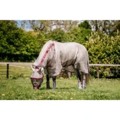 Horseware Flyboots Oatmeal/Cherry -Goedkope Paard Liefde Winkel hw ddhfl0 mrzc horseware fly boot 5.8178b3