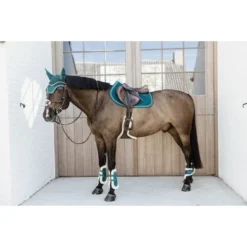 Kentucky Horsewear Kentucky Peesbeschermers Bamboo Elastic Velvet Vegan Bont Emerald -Goedkope Paard Liefde Winkel kentucky 179a3451.3711e2