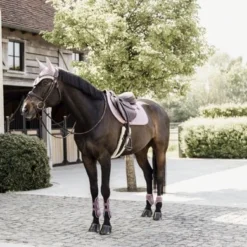 Kentucky Horsewear Kentucky Peesbeschermers Bamboo Elastic Old Rose -Goedkope Paard Liefde Winkel kentucky 485a7551 1 e8502ded370e565d04389cf2c54c4715 article photobook crop.9ea2a6