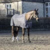 LeMieux Zomerdeken Arika Air-Tek Grijs -Goedkope Paard Liefde Winkel lmx arika air tek sheet grey 3.96f7ed