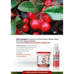 Leovet HoofLab Versteviger 200ml -Goedkope Paard Liefde Winkel lv wintergruenoel.faa663