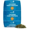 Pharmahorse Luzerne High Protein 10kg -Goedkope Paard Liefde Winkel pha lucerne high protein met bergje .6e8701