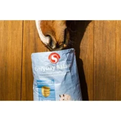 Sectolin EveryDay Balancer 12,5 KG -Goedkope Paard Liefde Winkel sectolinunnamed 5.a48a80
