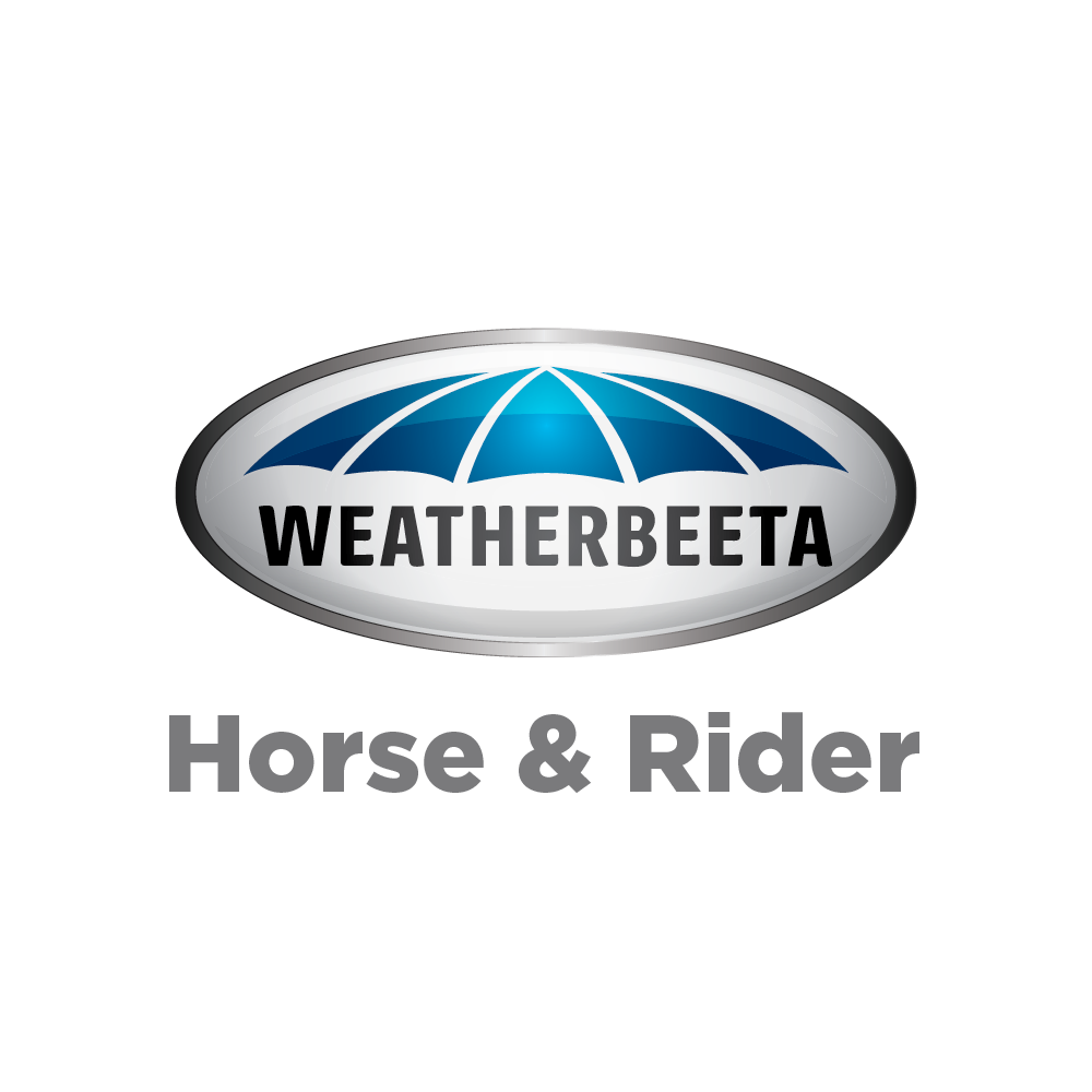 Goedkope Paard Liefde Winkel