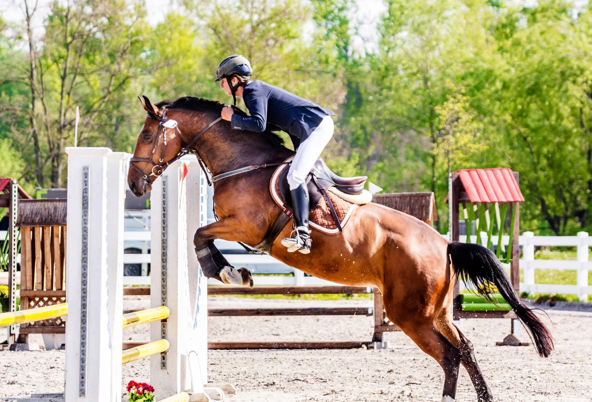 Goedkope Paard Liefde Winkel 2 Goedkope Paard Liefde Winkel -Goedkope Paard Liefde Winkel 498461646