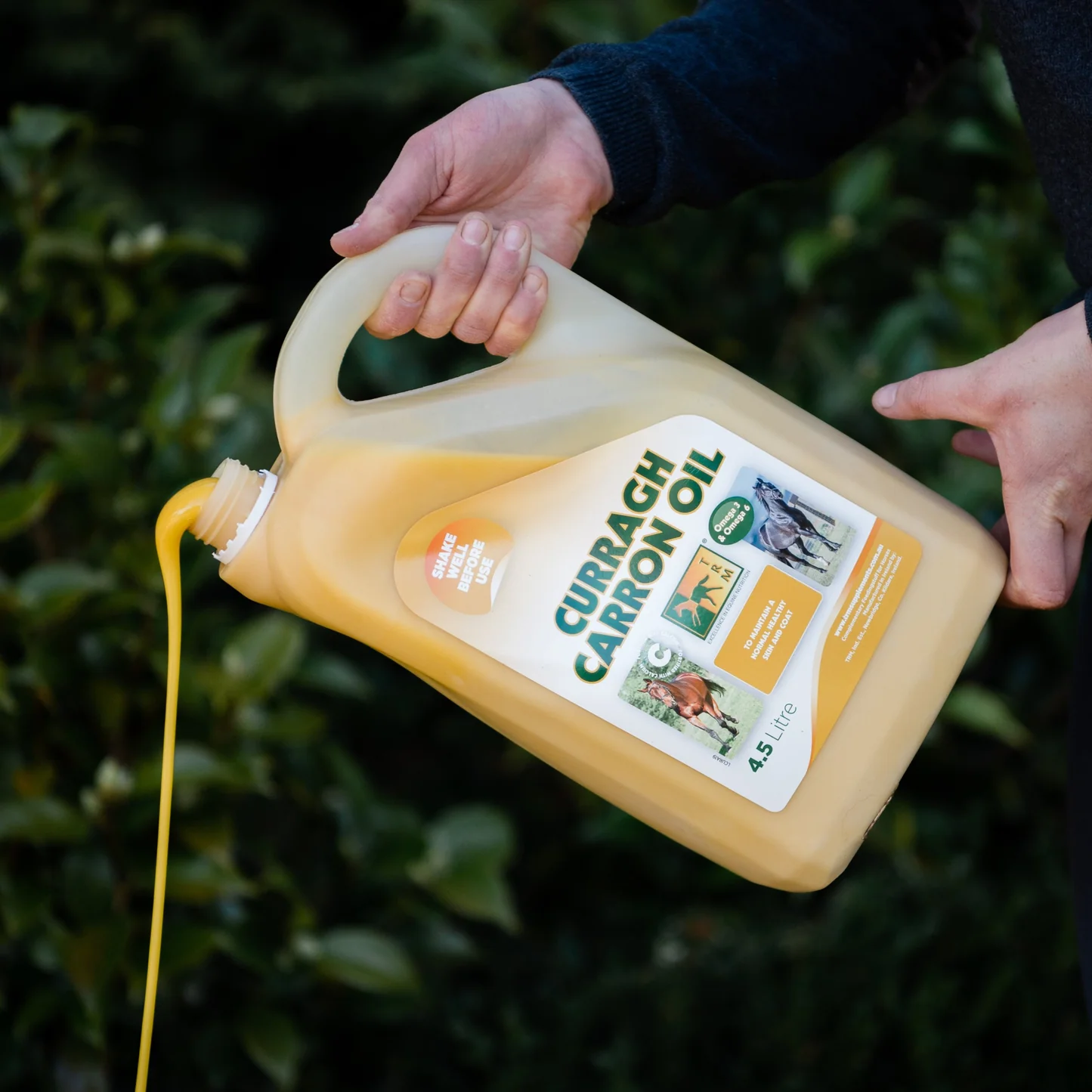 Goedkope Paard Liefde Winkel 26 Goedkope Paard Liefde Winkel -Goedkope Paard Liefde Winkel Curragh3