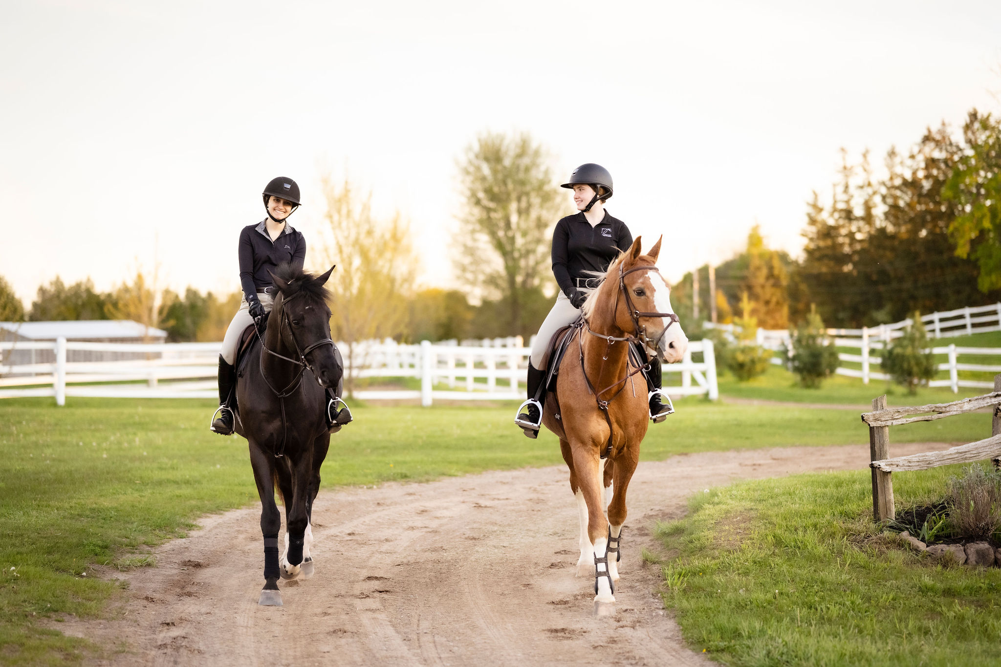 Goedkope Paard Liefde Winkel 1 Goedkope Paard Liefde Winkel -Goedkope Paard Liefde Winkel Photo 31